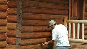 Are You an Expert in Maintaining Wooden Houses?